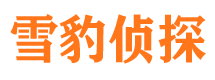 江岸捉小三公司